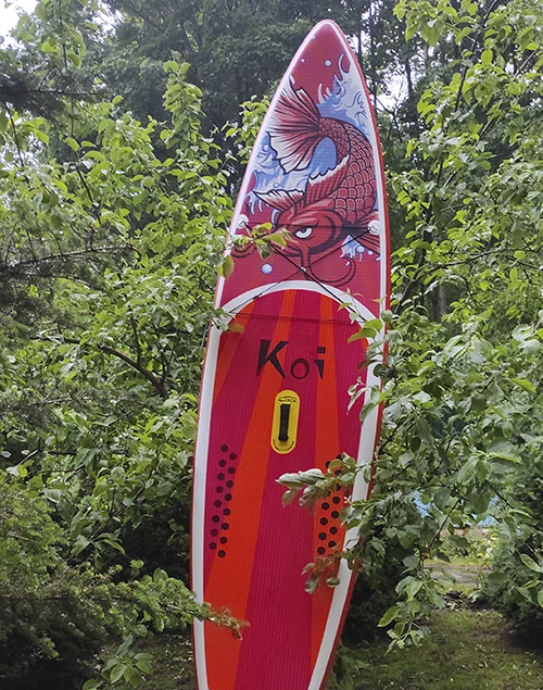 прокат Funwater Koi